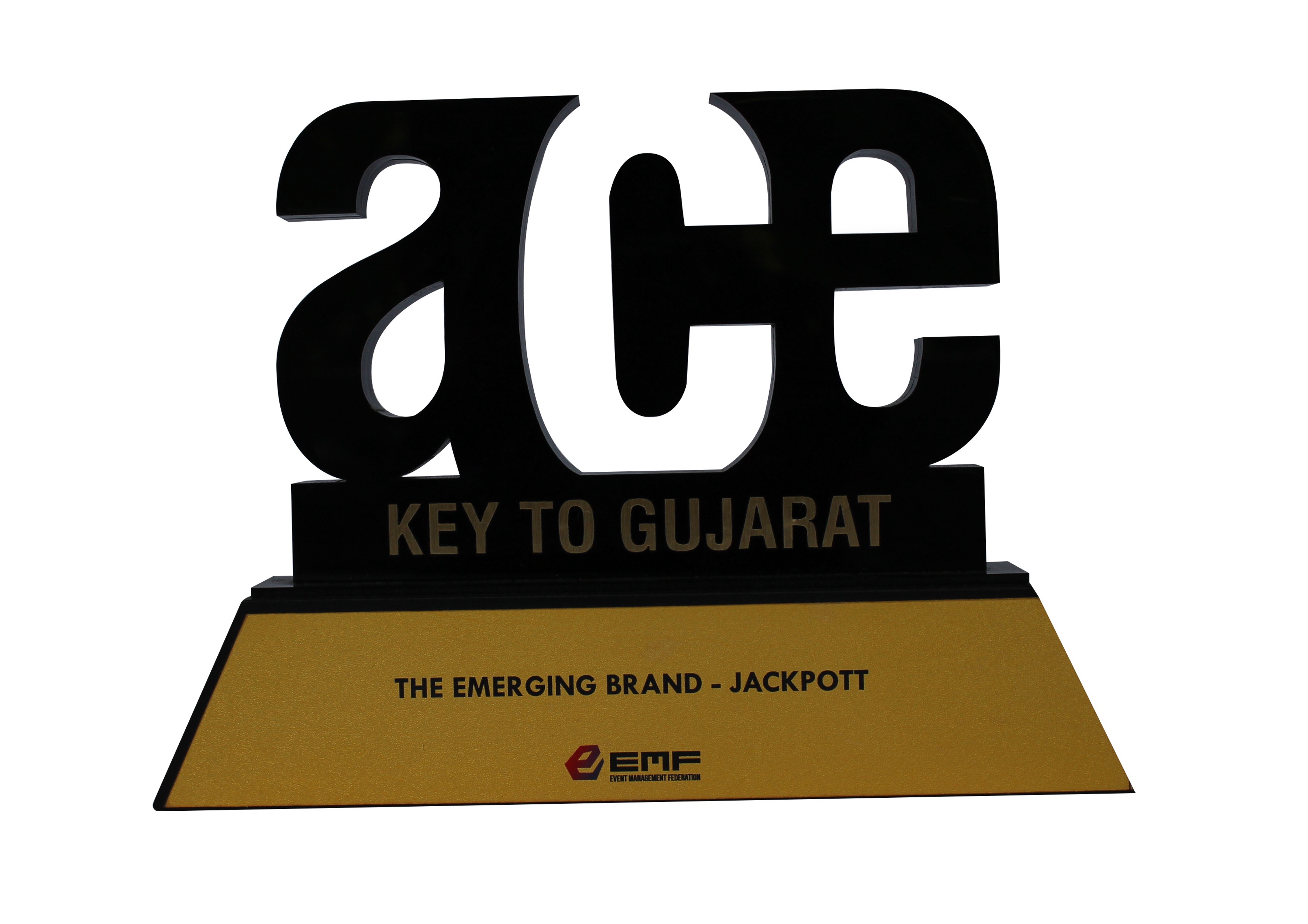 Best Loyalty Concept Award